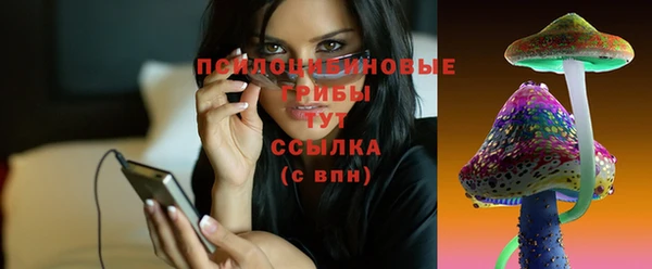 хмурый Зеленокумск