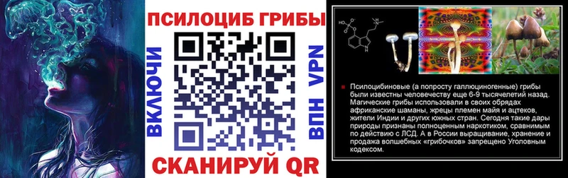 Галлюциногенные грибы GOLDEN TEACHER  Купить где  Ивангород 